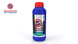 GK-Organics Seaweed Liquid 1 ltr