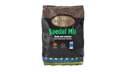 Special Mix Gold