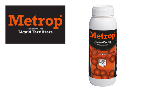 Metrop AminoXtrem 1 LTR