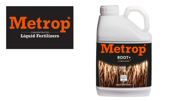 Metrop Root+ 5 LTR