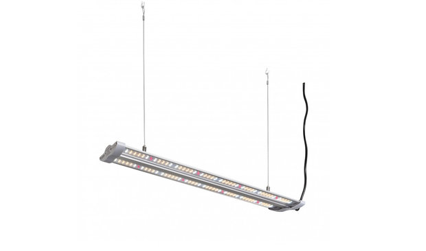 Hortimol 40W LED