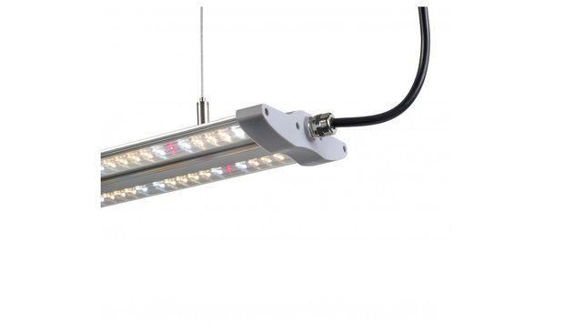 Hortimol 40W LED